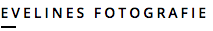 TITULO EVELINES FOTO