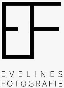 ef logo footer